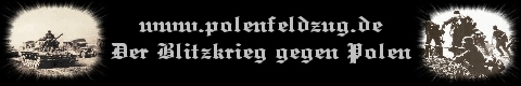 Polenfeldzug